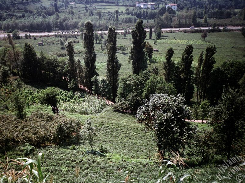 Trabzon`a ba�l� Of il�emizden bir k�y manzaras�.
