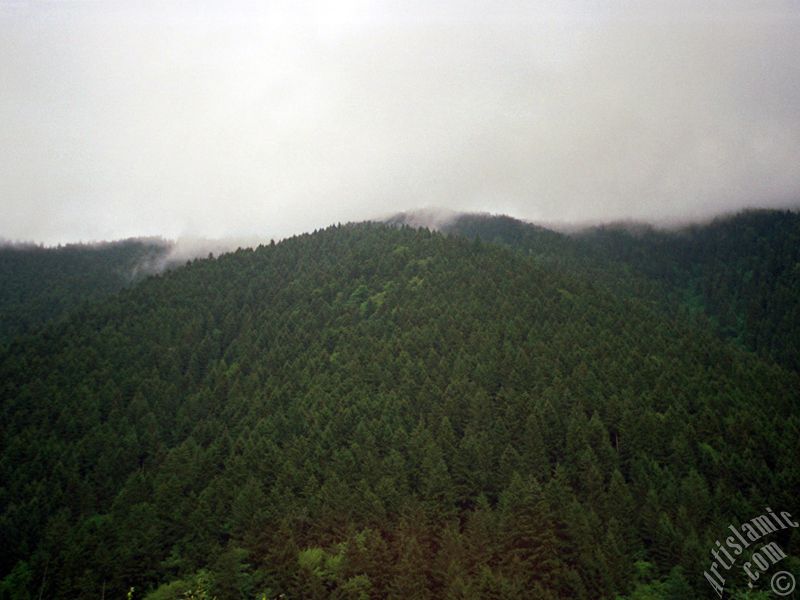Trabzon Uzung�l Yaylas�`ndan bir manzara.
