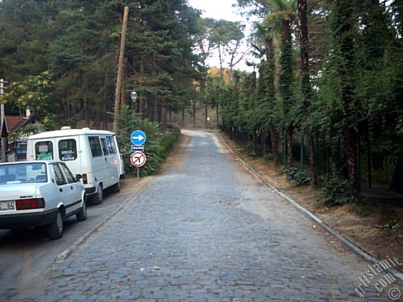 View of Termal-Gokcedere Village in Yalova city of Turkey.
