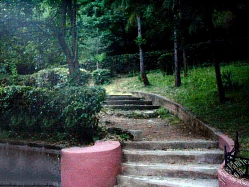Yalova ilimizdeki Termal-G�k�edere K�y�`nden bir g�r�nt�.
