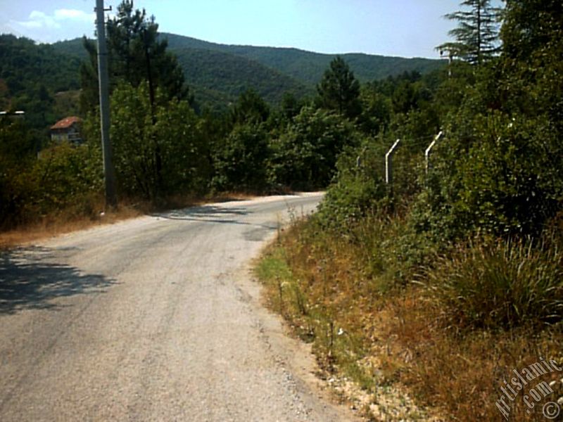Yalova ilimizdeki Termal-G�k�edere K�y�`nden bir g�r�nt�.
