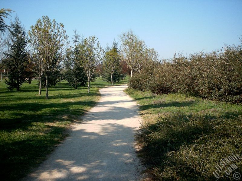 Bursa Botanik Park�ndan bir manzara.
