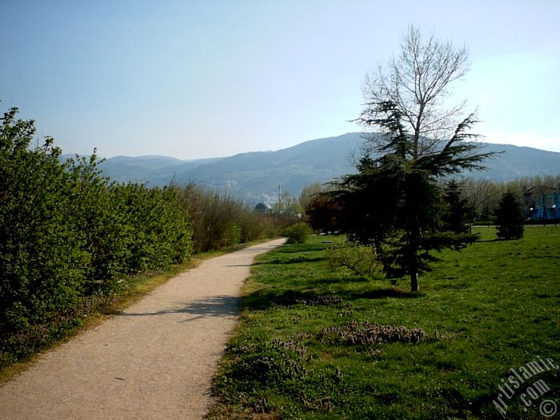 View of Botanical Park in Bursa city of Turkey.
