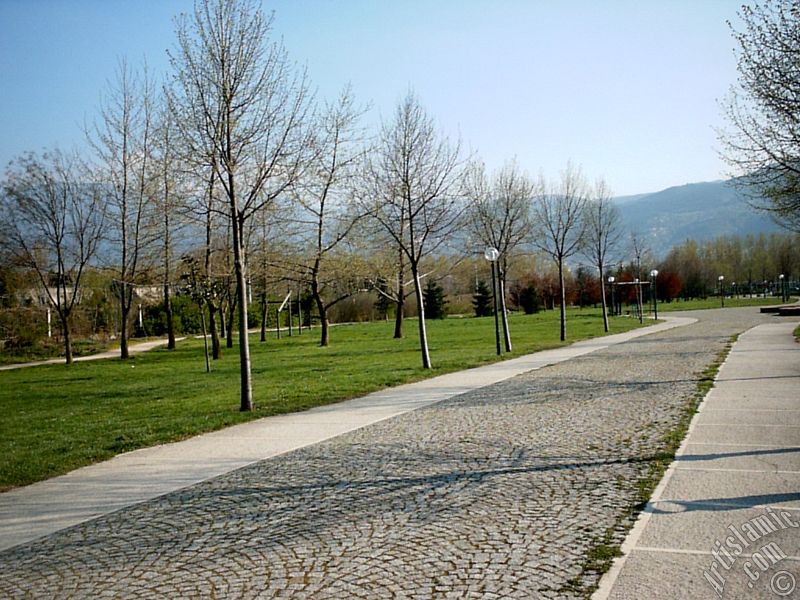 Bursa Botanik Park�ndan bir manzara.
