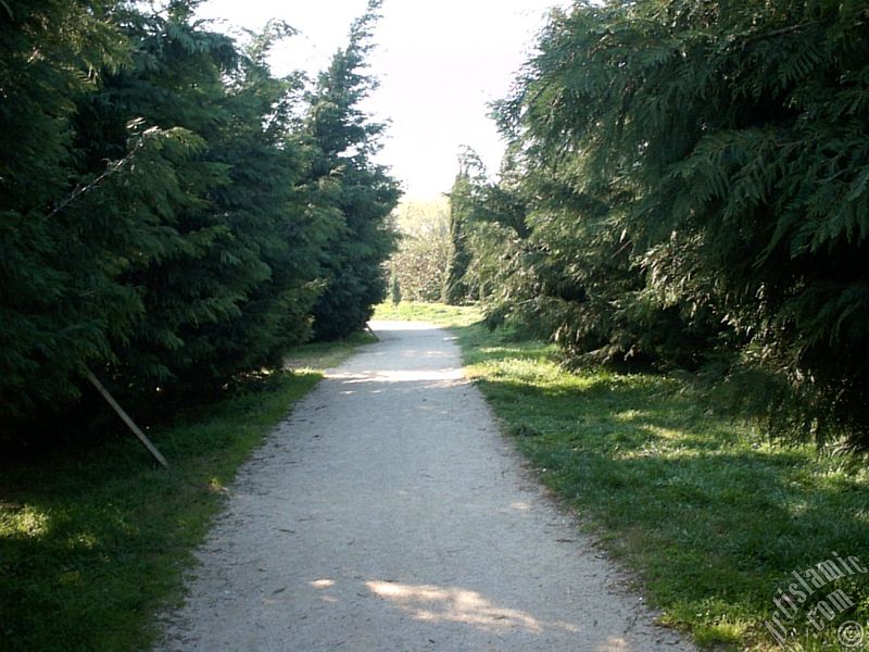 Bursa Botanik Park�ndan bir manzara.
