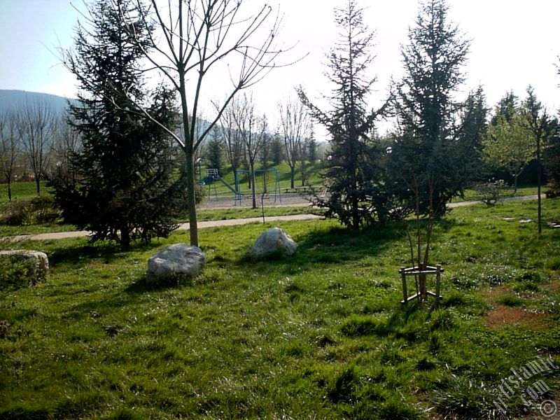 Bursa Botanik Park�ndan bir manzara.
