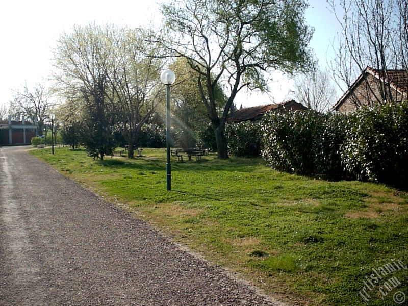 Bursa Botanik Park�ndan bir manzara.

