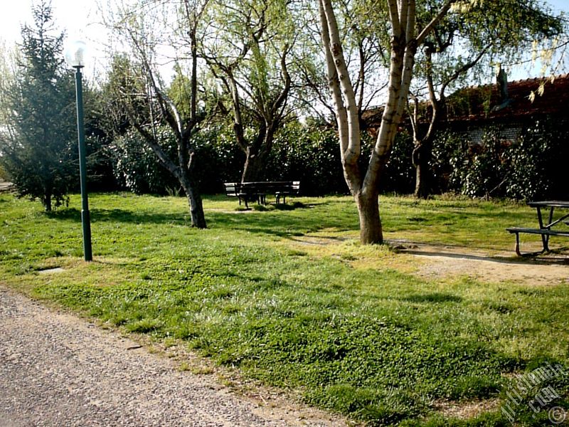 Bursa Botanik Park�ndan bir manzara.

