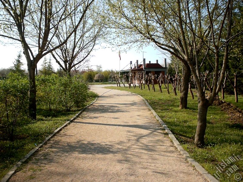 Bursa Botanik Park�ndan bir manzara.
