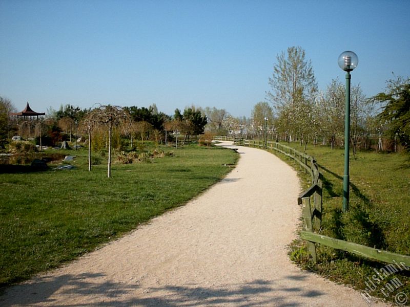 Bursa Botanik Park�ndan bir manzara.
