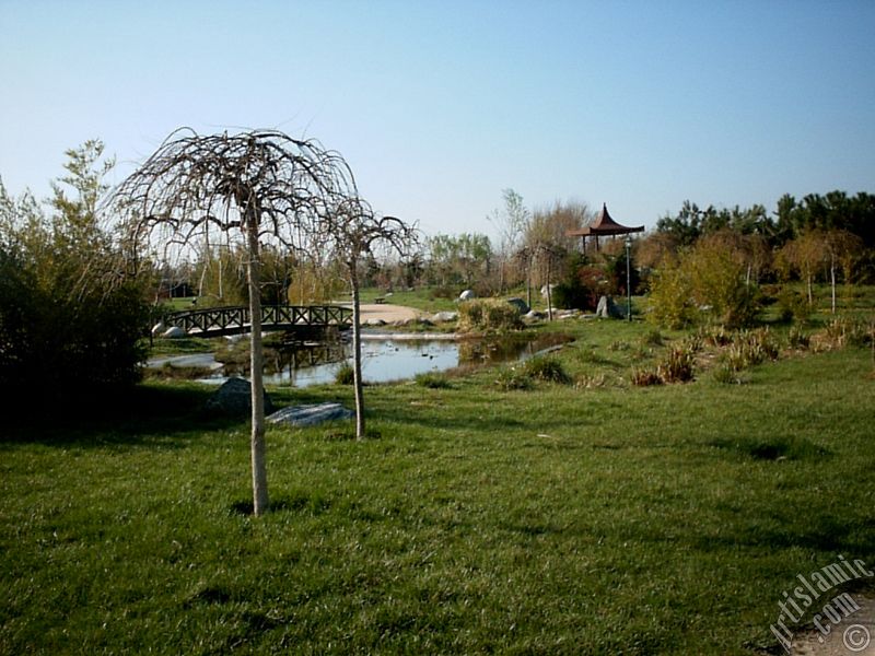 Bursa Botanik Park�ndan bir manzara.
