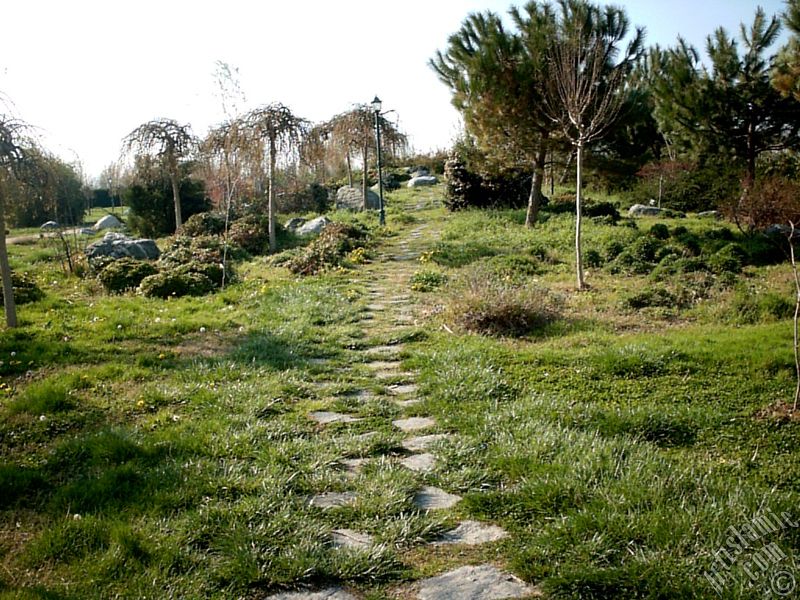 Bursa Botanik Park�ndan bir manzara.
