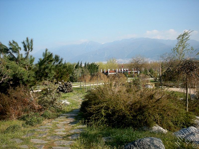 Bursa Botanik Park�ndan bir manzara.
