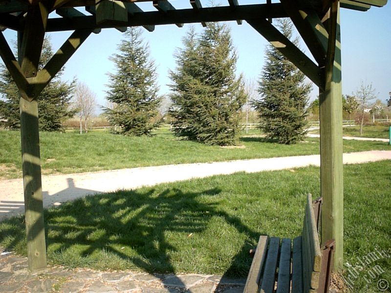 Bursa Botanik Park�ndan bir manzara.
