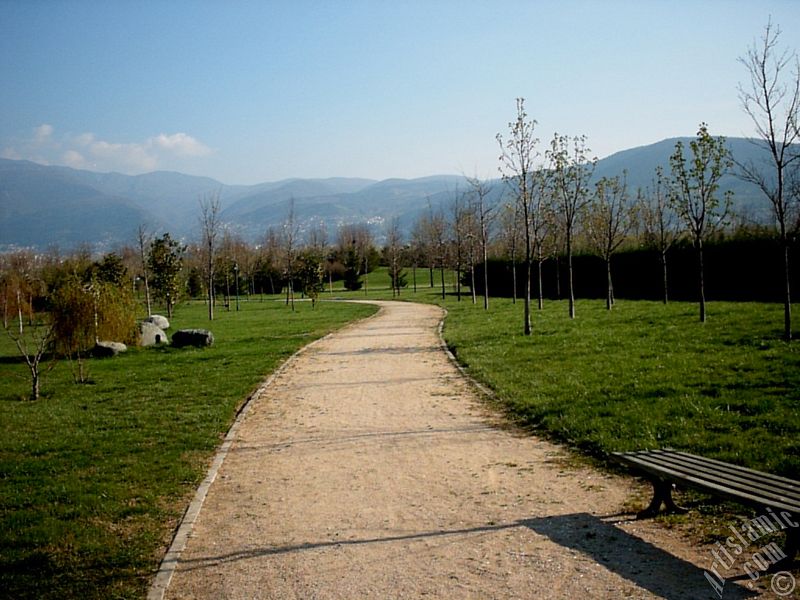 Bursa Botanik Park�ndan bir manzara.
