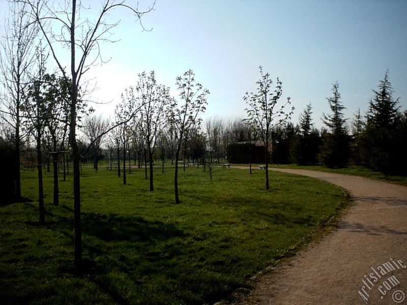 Bursa Botanik Park�ndan bir manzara.
