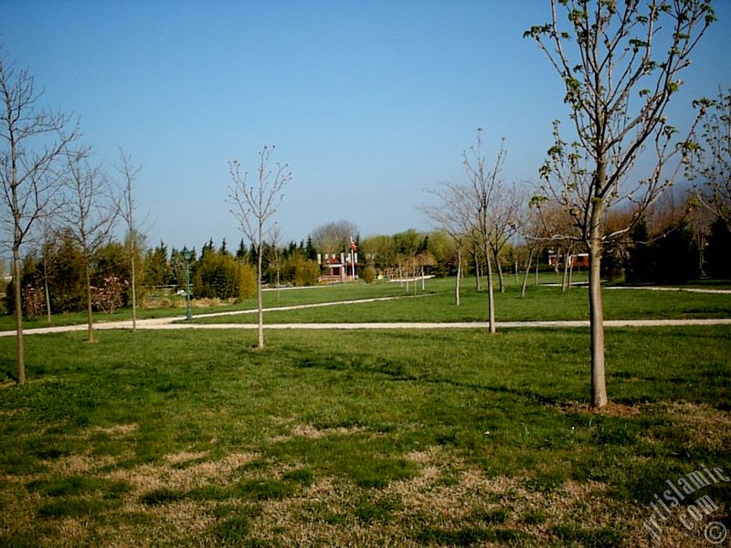 Bursa Botanik Park�ndan bir manzara.
