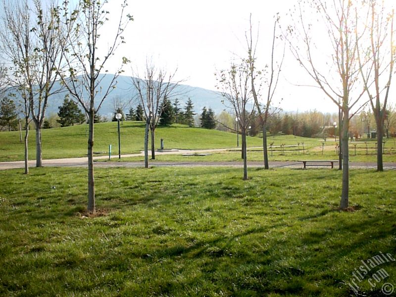 Bursa Botanik Park�ndan bir manzara.
