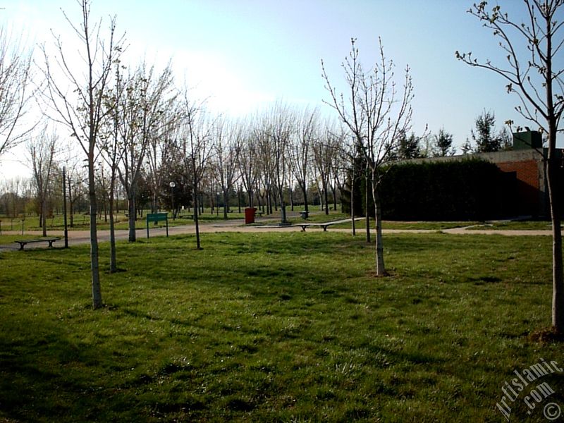 Bursa Botanik Park�ndan bir manzara.
