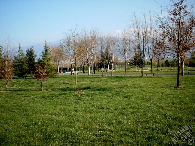 Bursa Botanik Park�ndan bir manzara.
