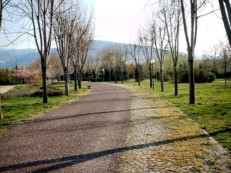Bursa Botanik Park�ndan bir manzara.
