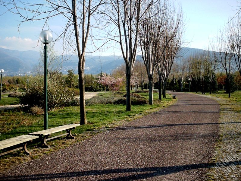 Bursa Botanik Park�ndan bir manzara.
