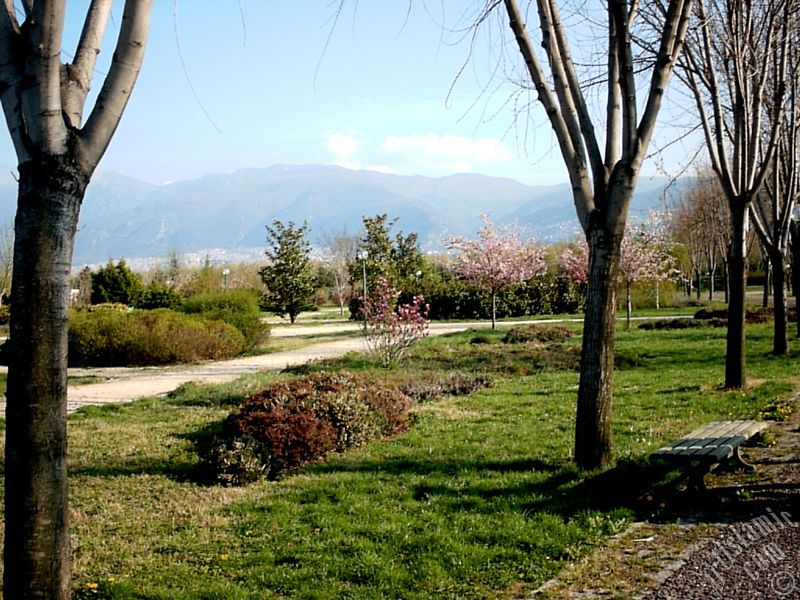 Bursa Botanik Park�ndan bir manzara.
