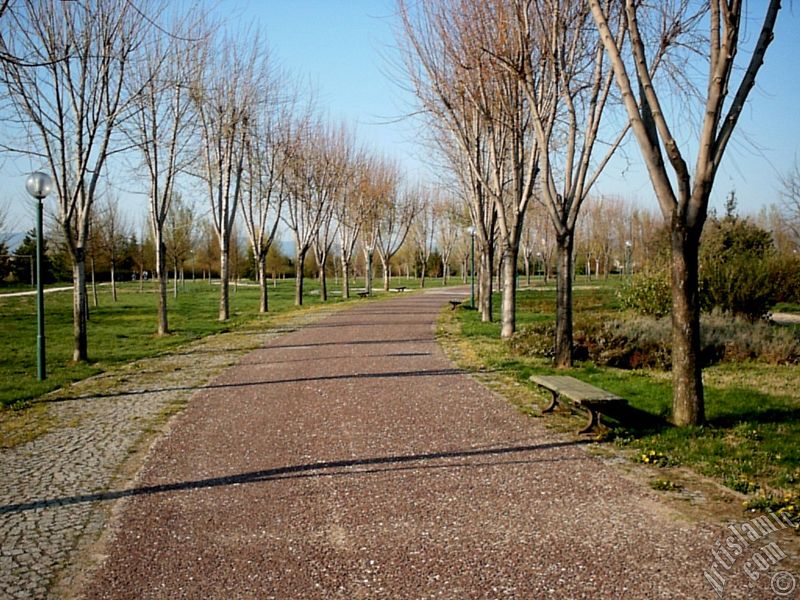 Bursa Botanik Park�ndan bir manzara.
