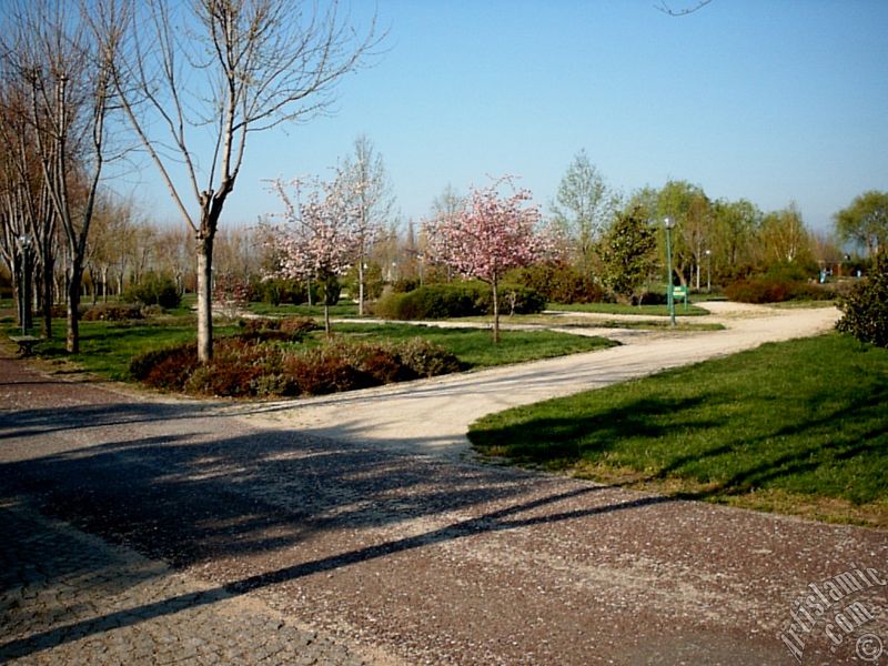 Bursa Botanik Park�ndan bir manzara.
