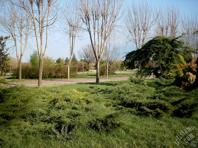 Bursa Botanik Park�ndan bir manzara.
