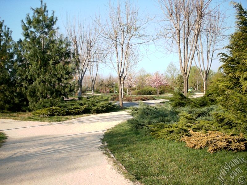 Bursa Botanik Park�ndan bir manzara.

