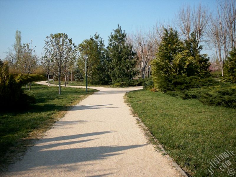 Bursa Botanik Park�ndan bir manzara.
