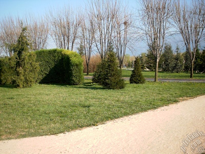 Bursa Botanik Park�ndan bir manzara.

