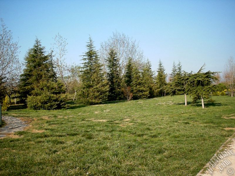 Bursa Botanik Park�ndan bir manzara.
