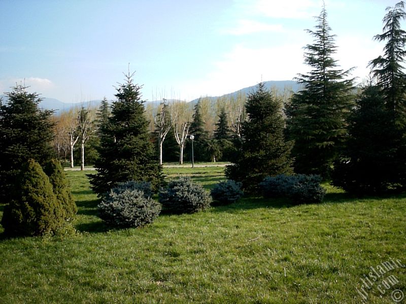 Bursa Botanik Park�ndan bir manzara.
