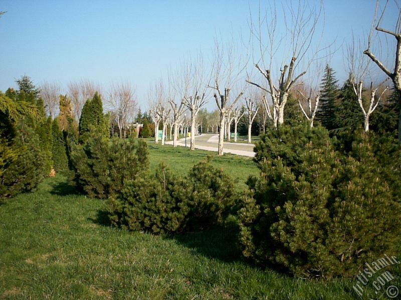 Bursa Botanik Park�ndan bir manzara.
