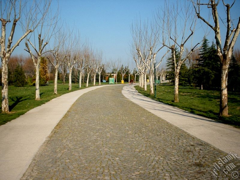 Bursa Botanik Park�ndan bir manzara.
