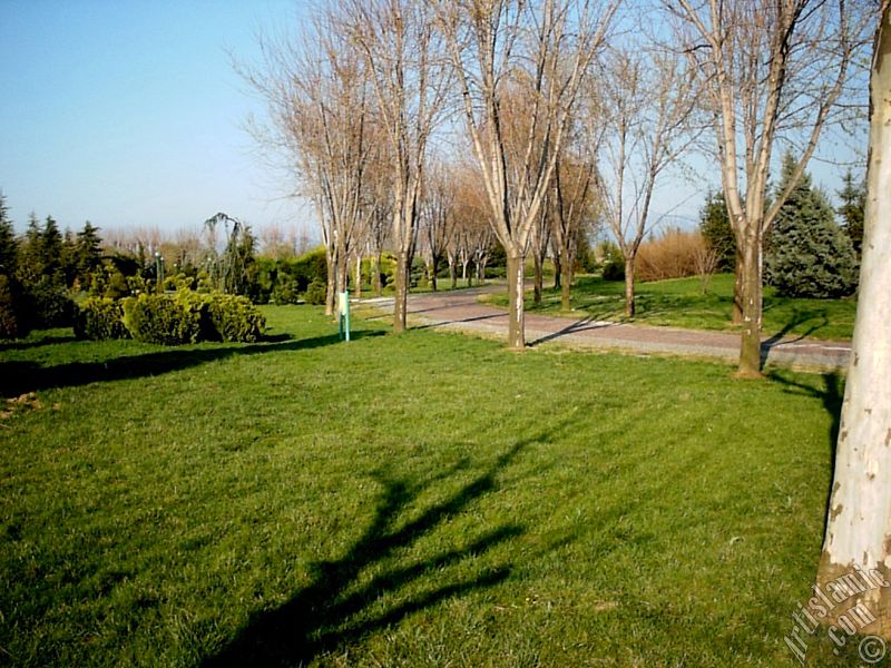 Bursa Botanik Park�ndan bir manzara.
