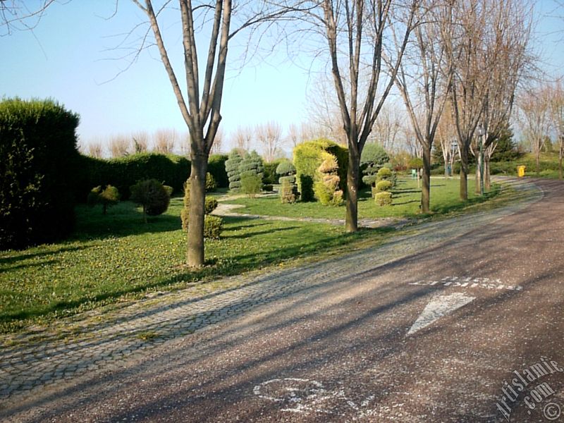 Bursa Botanik Park�ndan bir manzara.
