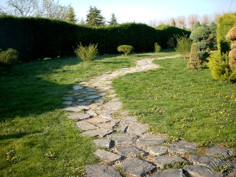 Bursa Botanik Park�ndan bir manzara.
