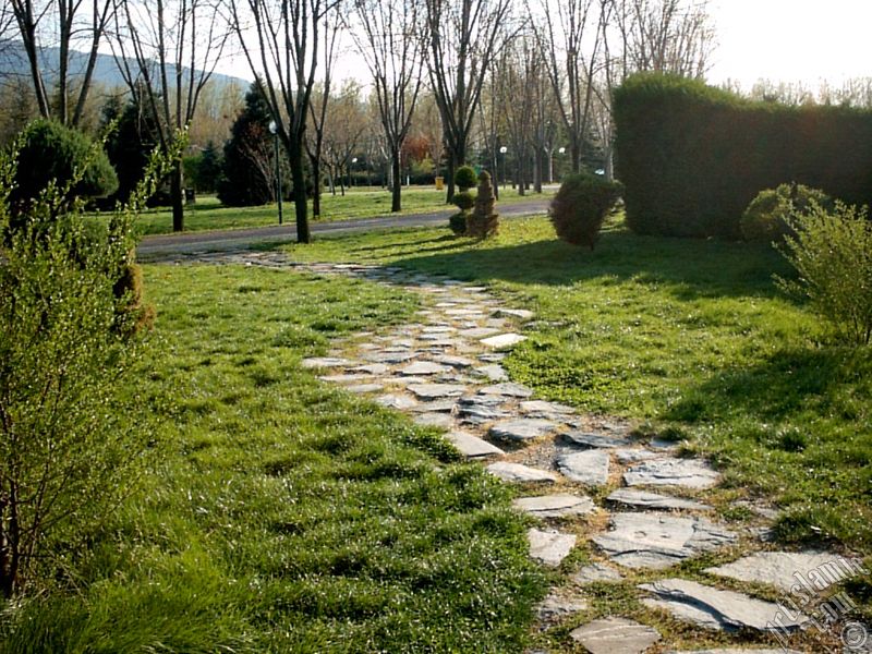 Bursa Botanik Park�ndan bir manzara.
