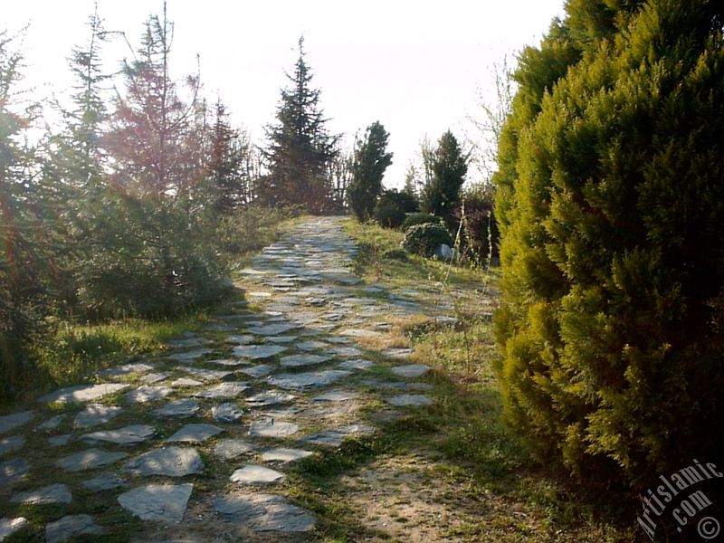 Bursa Botanik Park�ndan bir manzara.
