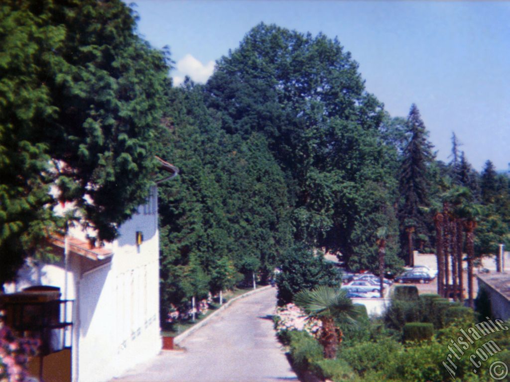 Yalova ilimizdeki Termal-G�k�edere K�y�`nden bir g�r�nt�.
