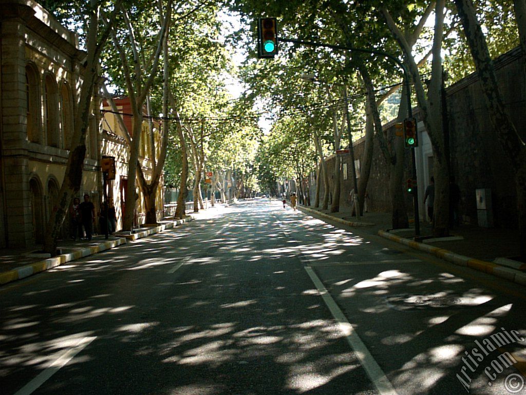 View towards Besiktas district from the way of Besiktas-Ortakoy in Istanbul city of Turkey.
