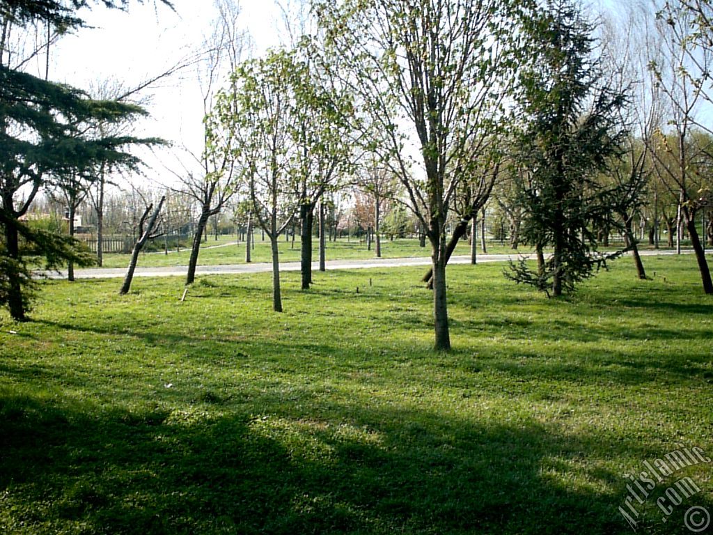 Bursa Botanik Park�ndan bir manzara.
