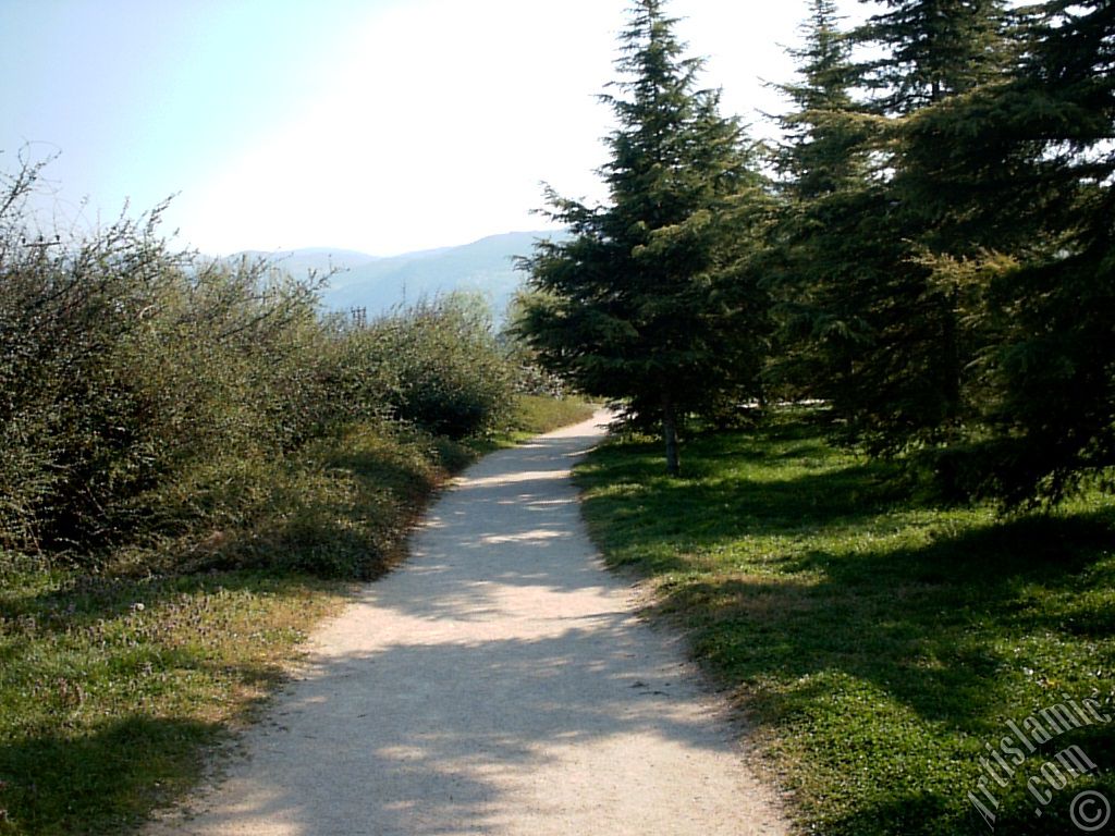 Bursa Botanik Park�ndan bir manzara.
