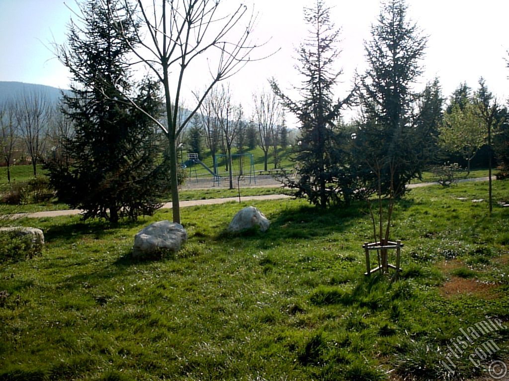 Bursa Botanik Park�ndan bir manzara.
