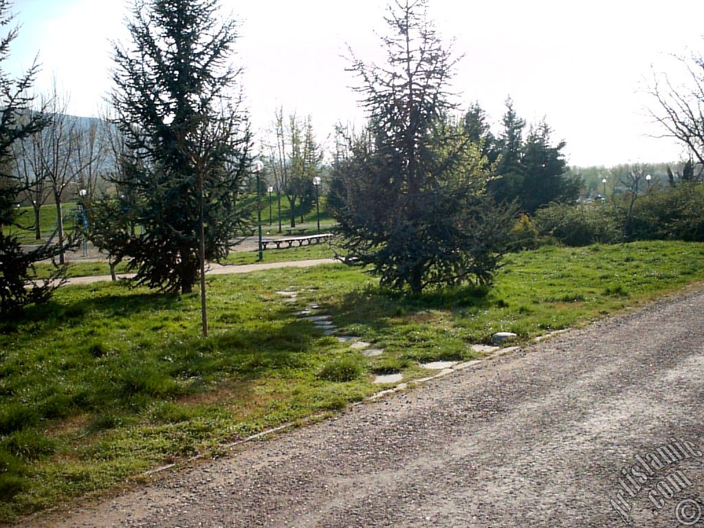 Bursa Botanik Park�ndan bir manzara.
