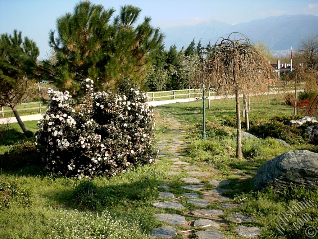 Bursa Botanik Park�ndan bir manzara.
