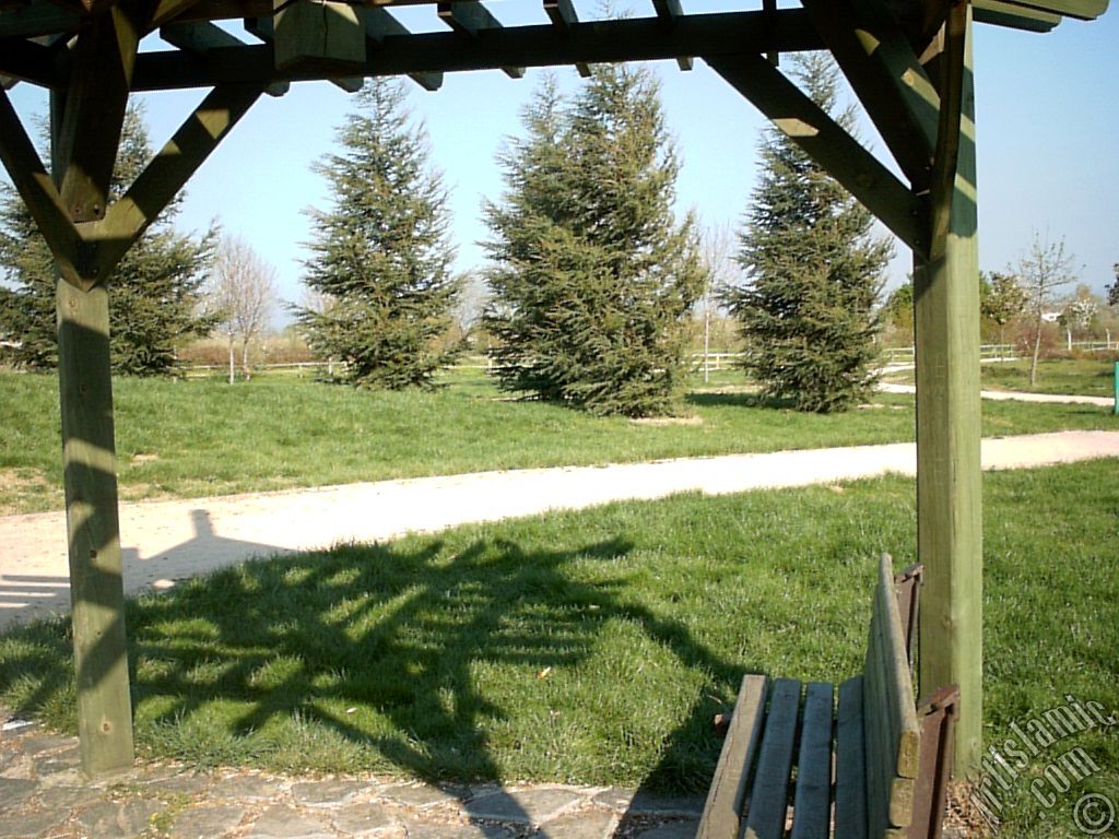Bursa Botanik Park�ndan bir manzara.
